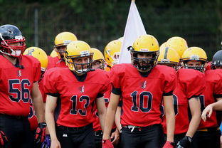 乐鱼体育在线入口-球员伤病防护不足，球员伤病对球员的影响